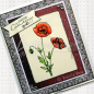 Preview: Motivstempel - Klatschmohn 02