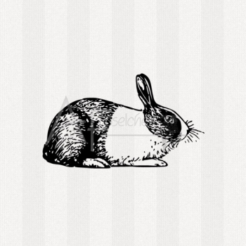 Motivstempel - Bobbel Hase