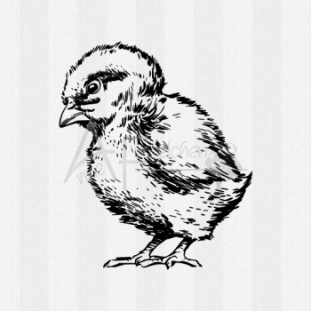 Motivstempel - Küken