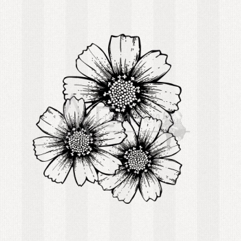 Motivstempel - Cosmos Blüten