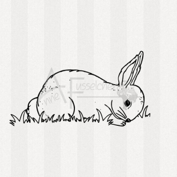 Motivstempel - Hase im Gras (gr)