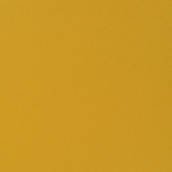 Florence Cardstock - Honey | 12x12