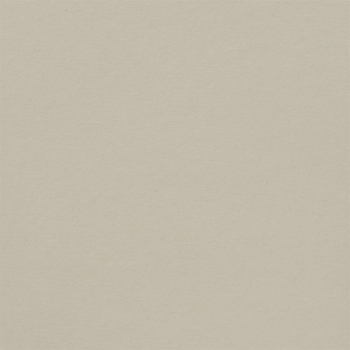 Florence Cardstock - Cool Gray | 12x12