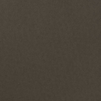 Florence Cardstock - Concrete | 12x12