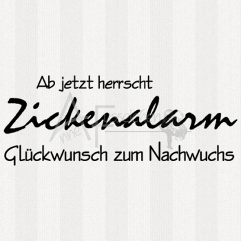 Textstempel - Ab jetzt herrscht Zickenalarm