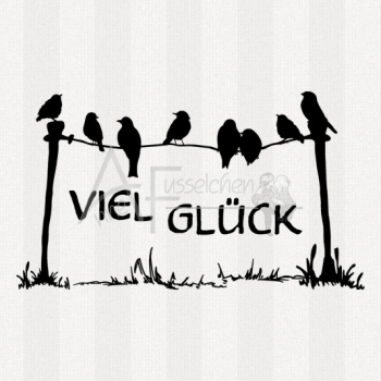 Set - ... auf der Leine 01