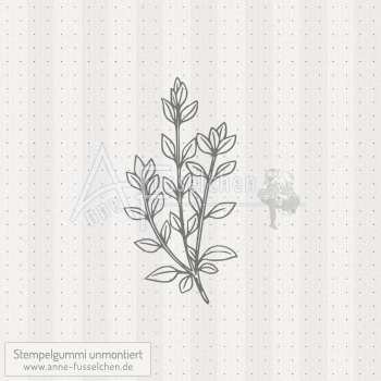 Motivstempel - Thymian