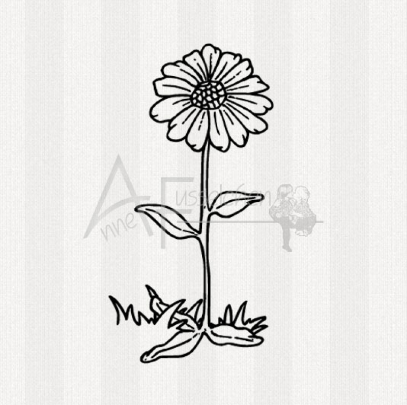 Motivstempel - Daisy