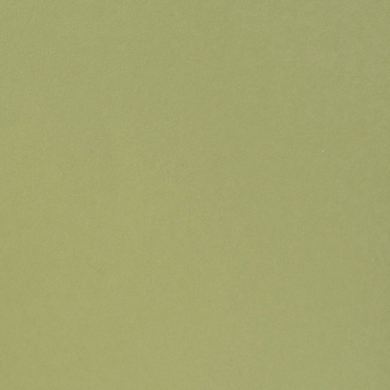 Florence Cardstock - Anise | 12x12
