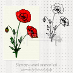 Motivstempel - Klatschmohn 02
