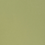 Florence Cardstock - Anise | 12x12