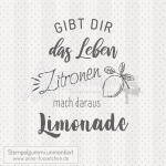 Textstempel - Gibt dir das Leben ...